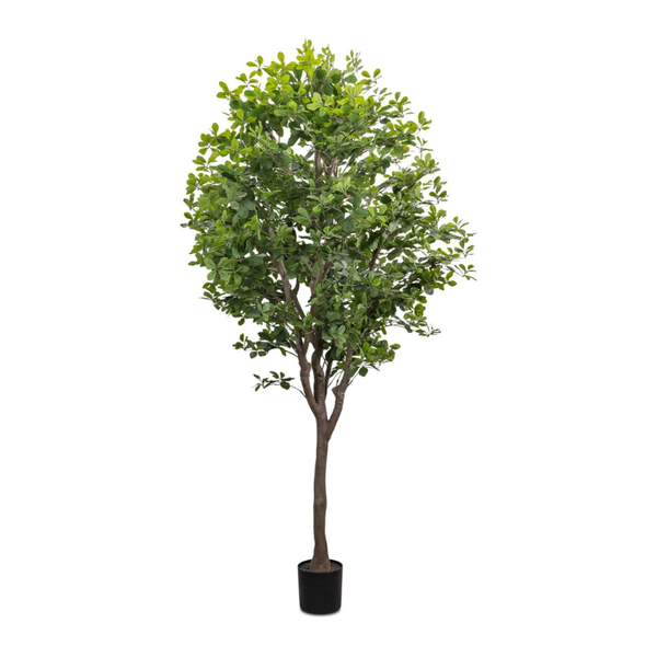 Faux Aralia Tree