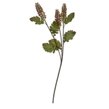 Astilbe Floral Spray