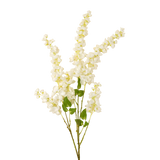 Wisteria Cascade in White