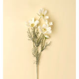 White Cosmos Spray