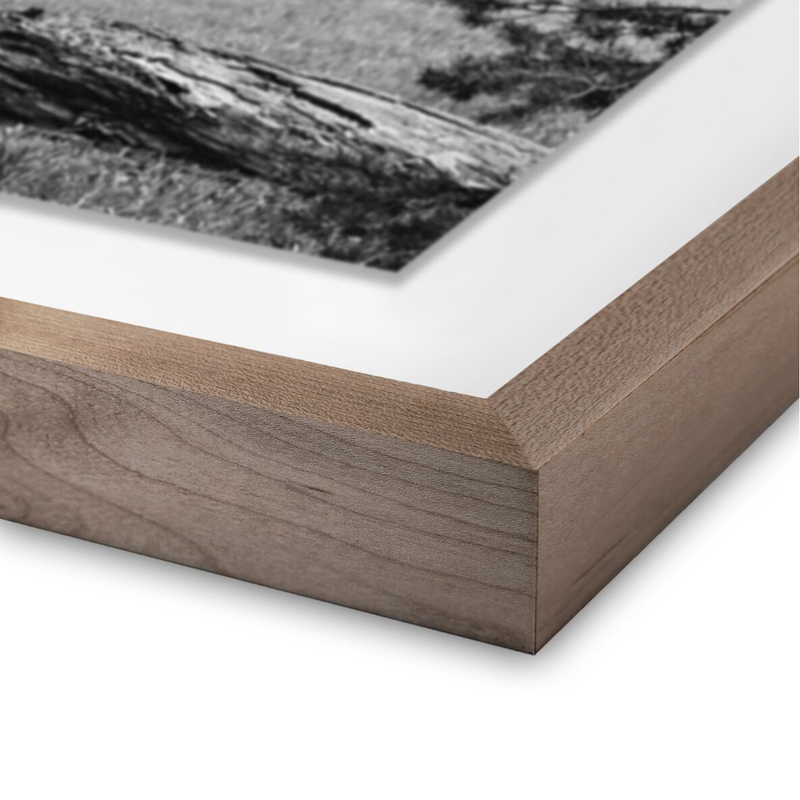 Don't Feed The Bears w/Rustic Walnut Frame