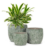 Leaf Planter