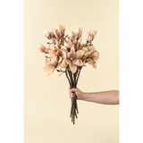 Magnolia Branch | Cream