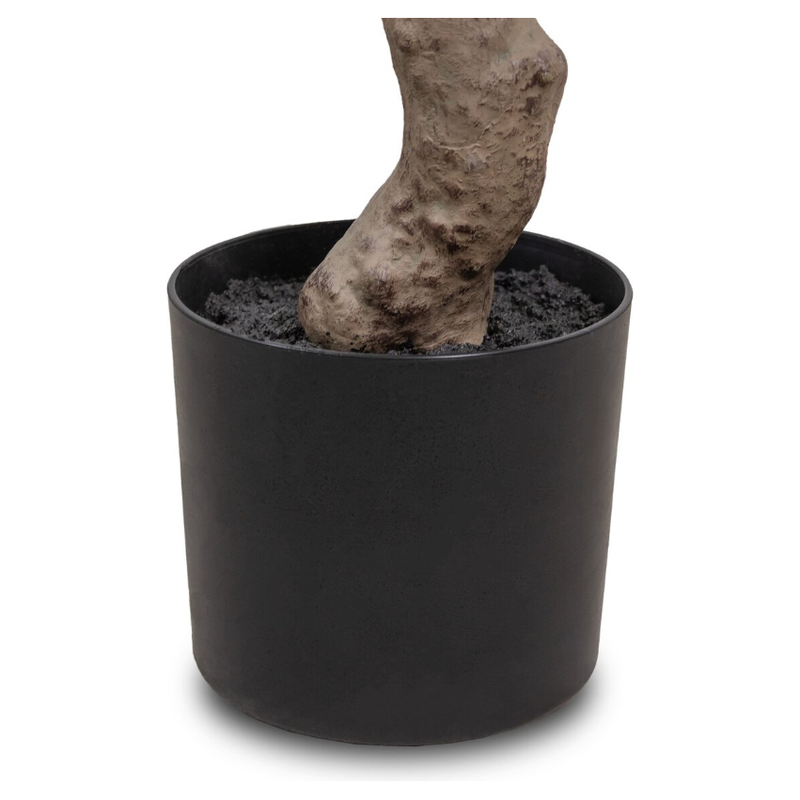 Faux Aralia Tree