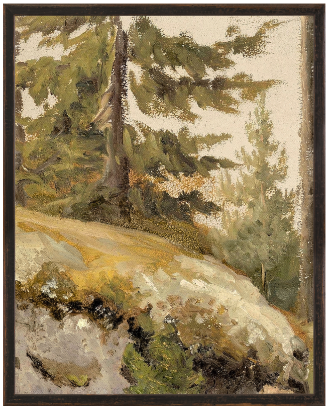 Northern Collection – Forest Study C.1881