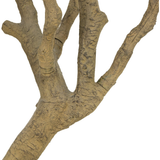 Faux Olive Tree Wide