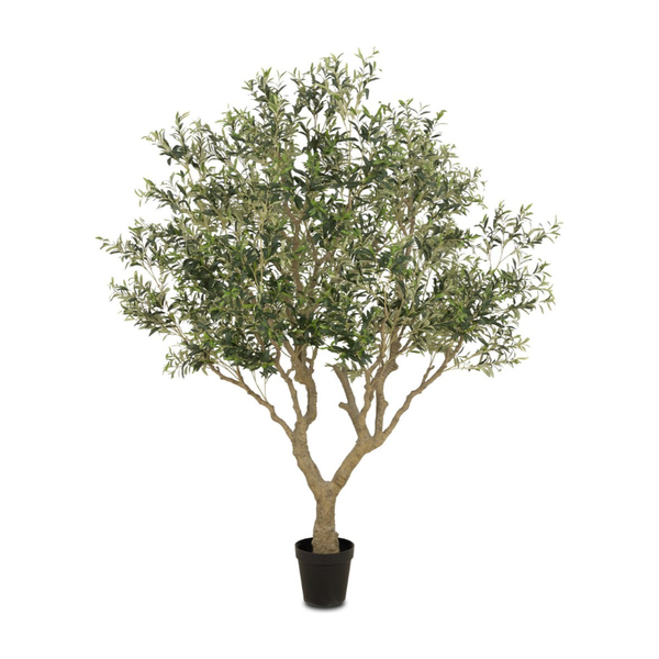 Faux Olive Tree Wide