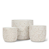 Daisy Planter