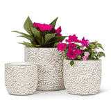 Daisy Planter