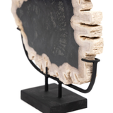 Petrified Wood Sculpture