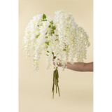 Wisteria Cascade in White