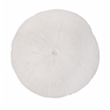 Sand Dollar