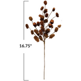 Dried Natural Thistle