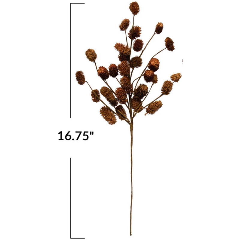 Dried Natural Thistle