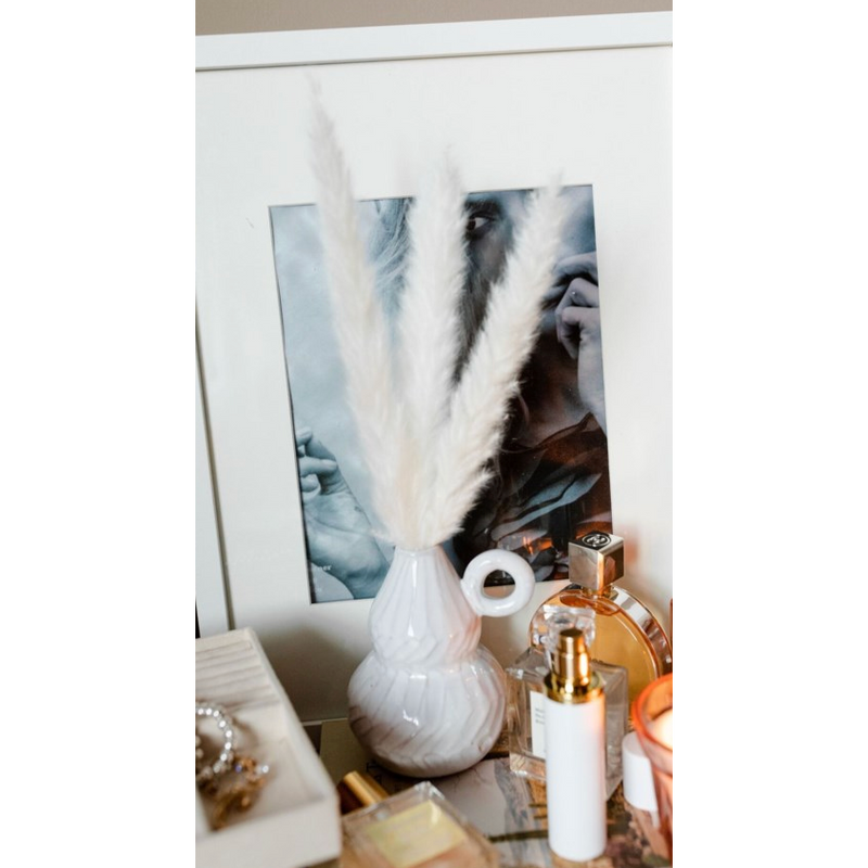 Pampas Grass Bleach White