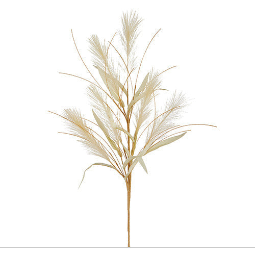 Dried Grass Spray