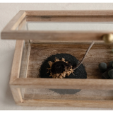 Wood and Glass Display Box