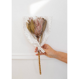 Lilac Protea
