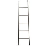 Black Iron Ladder