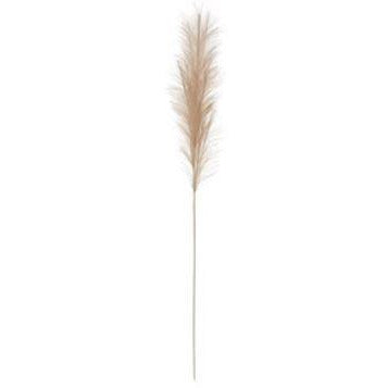 Faux Pampas Grass Plume, Cream Color