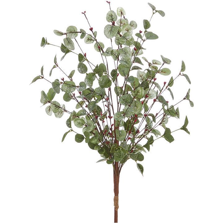 Berry and Eucalyptus Bush