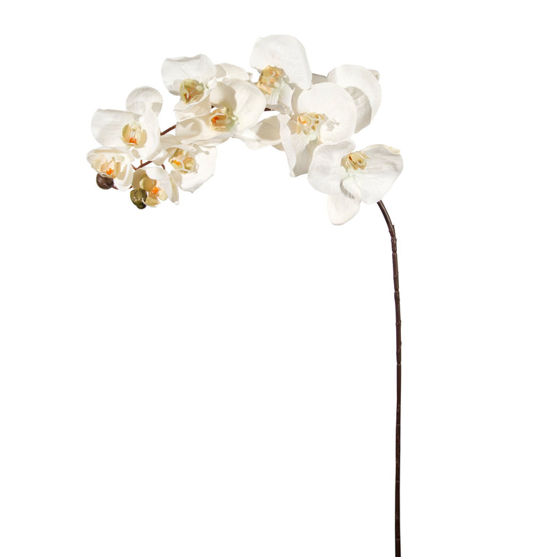 Single Stem - White Orchid 37"