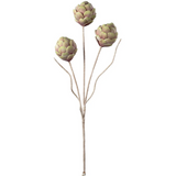 Desert 3 Pod Artichoke Stem - 45"