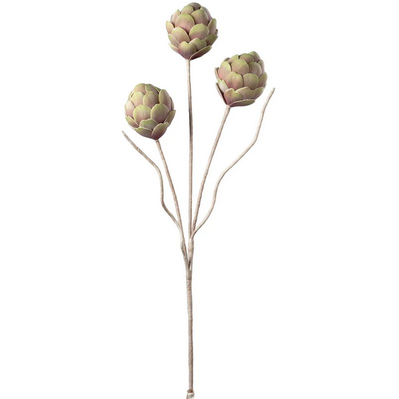 Desert 3 Pod Artichoke Stem - 45"