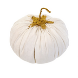 Canvas Pumpkin