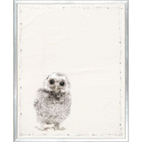 Les Petits Series