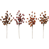 Dried Natural Thistle