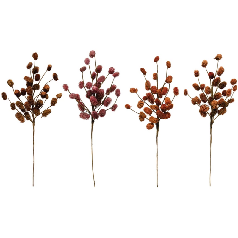 Dried Natural Thistle