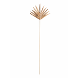 Buri Palm Lady Finger Pick