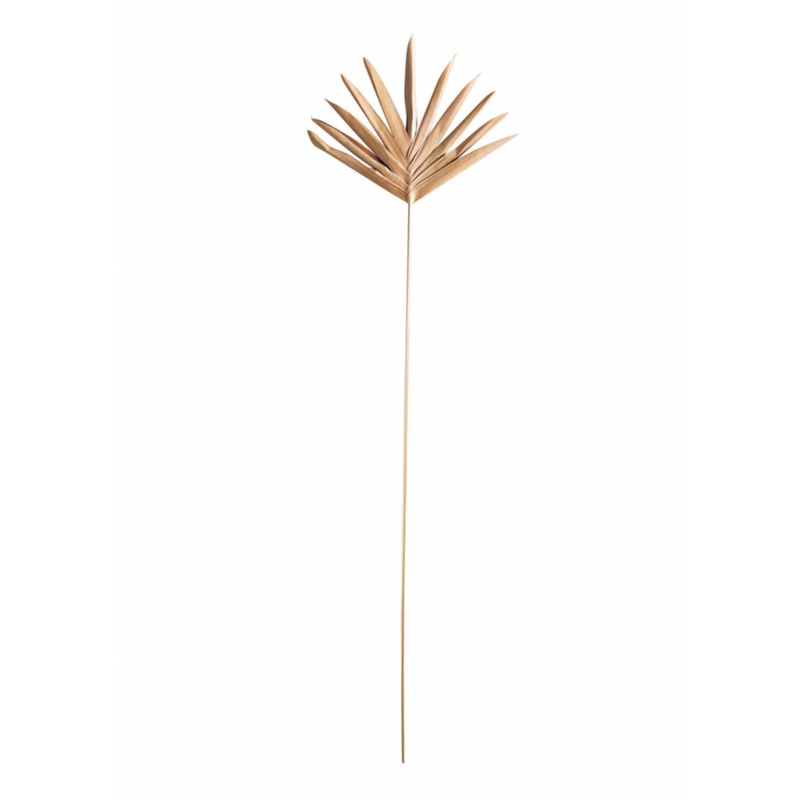 Buri Palm Lady Finger Pick
