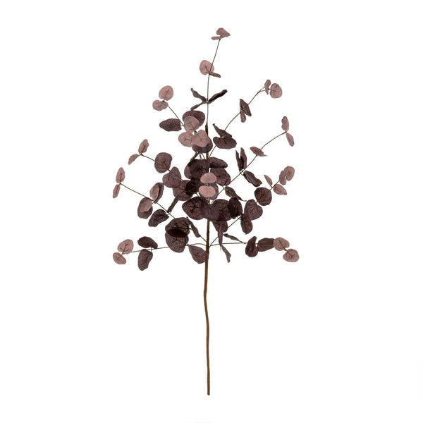 Eucalyptus Sprig Plum