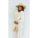 Pampas Grass Bleach White