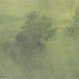Breathing by Aileen Fitzgerald