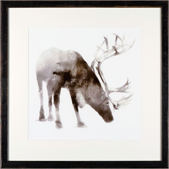 Watercolour Caribou Art