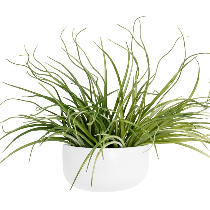 Centra Ceramic Wall Planter