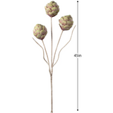 Desert 3 Pod Artichoke Stem - 45"