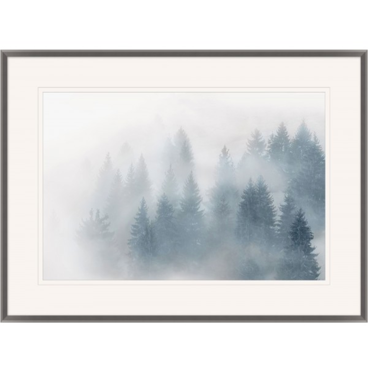 Trees In the Fog II