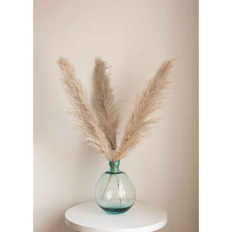 Pampas Grass Natural
