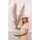 Pampas Grass Natural