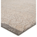 Revolution Rug in Whitecap Gray &amp; Pumice Stone