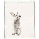 Les Petits Series