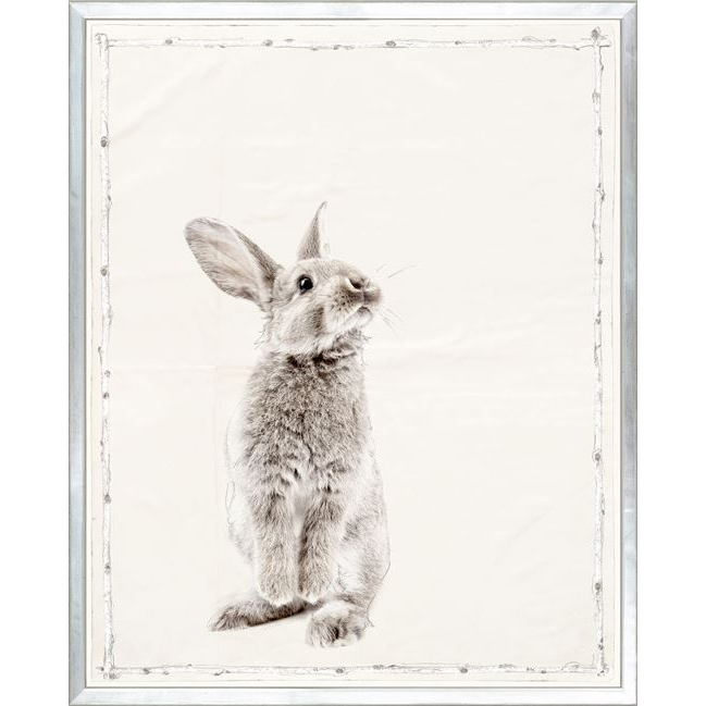Les Petits Series
