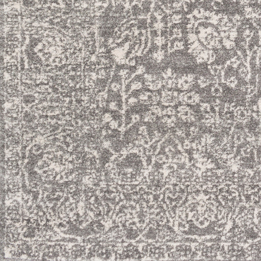 Harput Rug in Charcoal and Grey