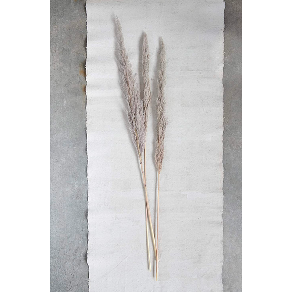 43"H Dried Natural Pampas Grass Bunch