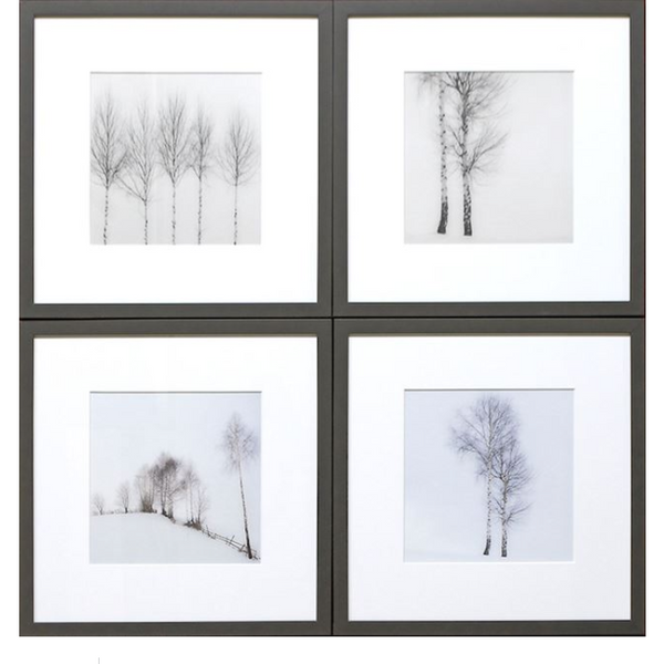 Birch View S/4 Framed Art