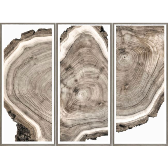 Live Edge Triptych